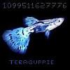 teraguppie